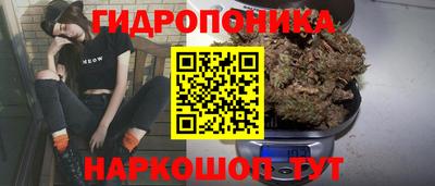 гашик Жуковский