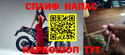 гашик Жуковский